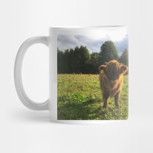 Scottish Highland Cattle Calf 1828 Mug